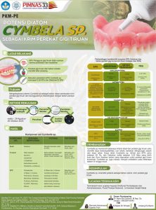 PKMPE-2 - RENATA ADARANYSSA E - Universitas Gadjah Mada