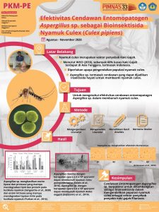 PKMPE-5 - RIZKA DWI DAMAYANTI - Universitas Lampung